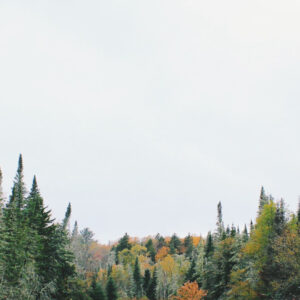 Hybrid Cleansing Balm