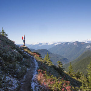 Cleanser Concentrate